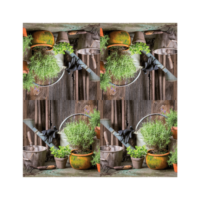 Servilletas de Papel Plantas 33x33cm